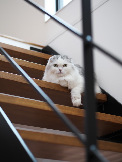 家づくりをお考えの方にアドバイスをお願いします。